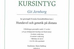 Kursintyg-genetik-o-avel